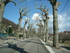 M COMME MONTPEZAT - GARD - FRA