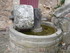 C COMME CASTELNAU PEGAYROLS (2