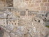 C COMME CASTELNAU PEGAYROLS (2