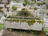 V COMME VEZINS DE LEVEZOU (2) 