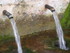 S COMME SAINT LEONS (2) - AVEY