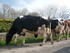 L COMME LE VIBAL - AVEYRON - F