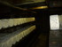 R COMME ROQUEFORT - AVEYRON - 