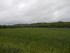 AUCH - L'ISLE DE NOÉ - KM 661