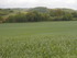 AUCH - L'ISLE DE NOÉ - KM 661