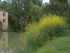 AUCH - L'ISLE DE NOÉ - KM 661
