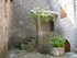S COMME SAINT JEAN D'ALCAS - A