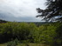 L'ISLE DE NOÉ - MONTESQUIOU -