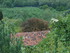 L'ISLE DE NOÉ - MONTESQUIOU -