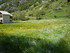 R COMME HAMEAU DU ROUBION (2) 
