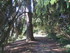 LESCAR - LACOMMANDE - KM 784