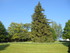 LESCAR - LACOMMANDE - KM 784