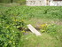 L COMME LAVAL (2) - HAUTES ALP