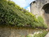 S COMME SEDAN (4) - ARDENNES -