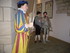 S COMME SEDAN (7) - ARDENNES -