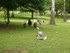 PARC ANIMALIER SAINT LAURENT -