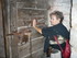 F COMME FOIX (2) - ARIEGE - FR