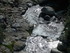 M COMME MONTFERRIER - ARIEGE -