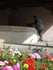 M COMME MONTFERRIER - ARIEGE -