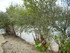 L COMME LAC DE MONTBEL - ARIÈ