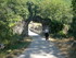 P COMME PONT DU DIABLE - ARIÈ