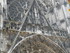 T COMME TROYES (3) - AUBE - FR