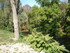 D COMME DIENVILLE - AUBE - FRA