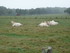 E COMME ERVY LE CHATEL - AUBE 