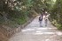 LE CHEMIN DES ROYS