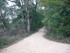 LE CHEMIN DES ROYS