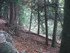 LE CHEMIN DES ROYS