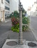 B COMME BAR SUR SEINE - AUBE -