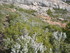 OPPIDIUM D'UNTINOS