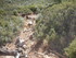 OPPIDIUM D'UNTINOS