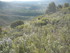 OPPIDIUM D'UNTINOS