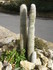 C COMME CUCUGNAN - AUDE - FRAN