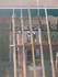 MÉDIÉVALES DE VITROLLES (3) 