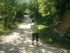 BOUCLE LE SENTIER DES OCRIERS