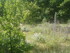 BOUCLE LE SENTIER DES OCRIERS