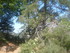 BOUCLE LE SENTIER DES OCRIERS