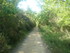 BOUCLE LE SENTIER DES OCRIERS