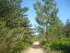 BOUCLE LE SENTIER DES OCRIERS