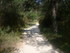BOUCLE LE SENTIER DES OCRIERS