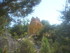 BOUCLE LE SENTIER DES OCRIERS
