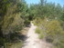 BOUCLE LE SENTIER DES OCRIERS