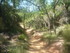 BOUCLE LE SENTIER DES OCRIERS