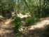 BOUCLE LE SENTIER DES OCRIERS