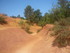 BOUCLE LE SENTIER DES OCRIERS