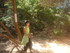 BOUCLE LE SENTIER DES OCRIERS
