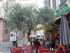 LES MEDIEVALES DE BRIGNOLES - 